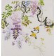 Wisteria - CNAG006419