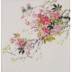 Peach Blossom - CNAG006420