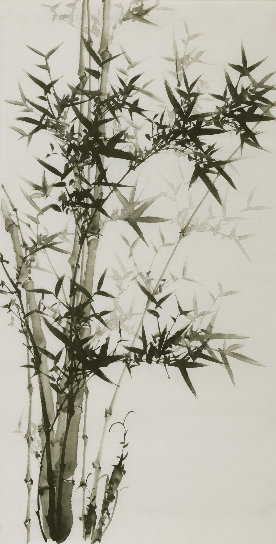 Ink Bamboo - CNAG000643