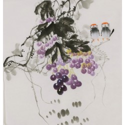 Grapes - CNAG006429
