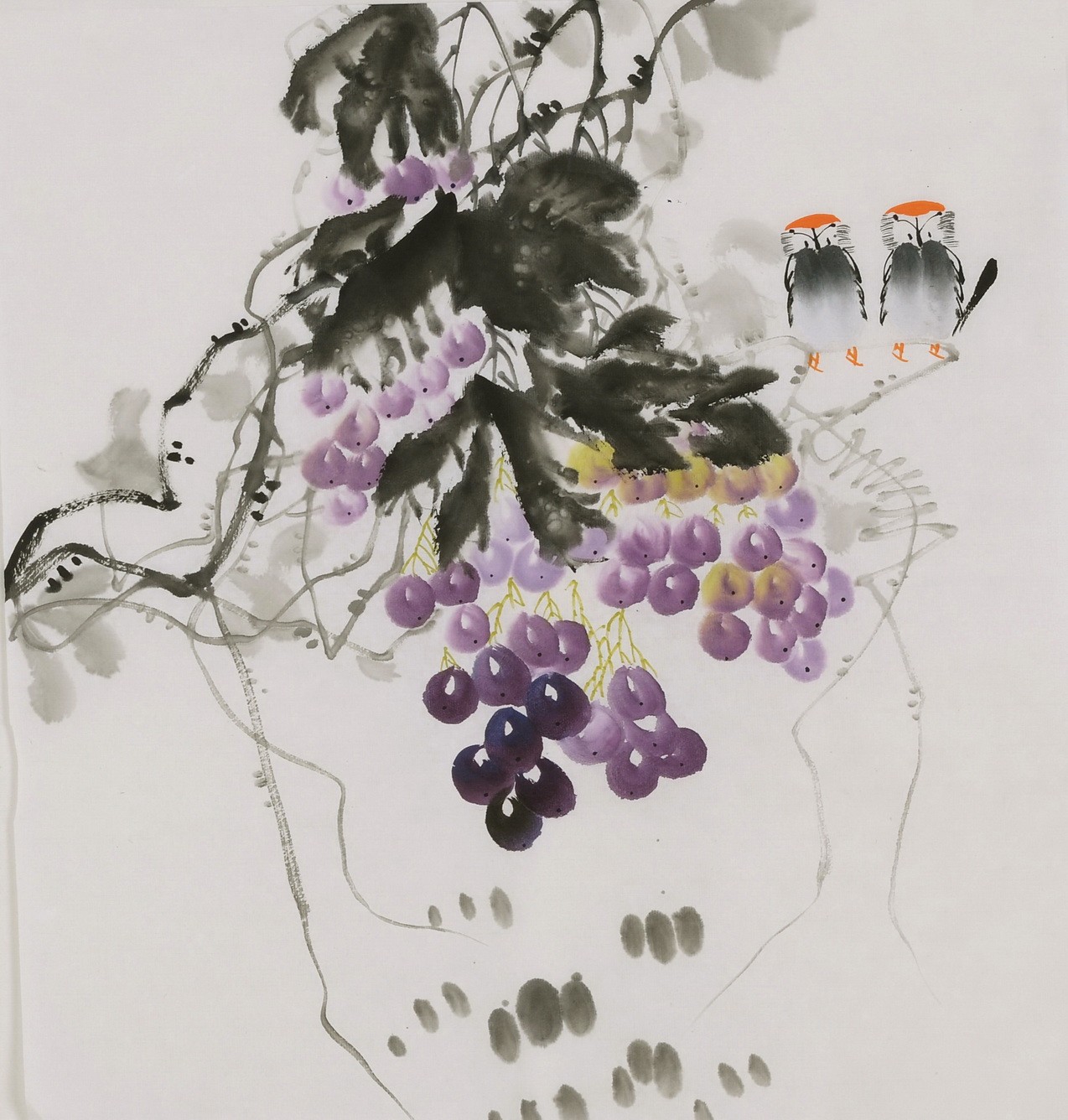 Grapes - CNAG006429