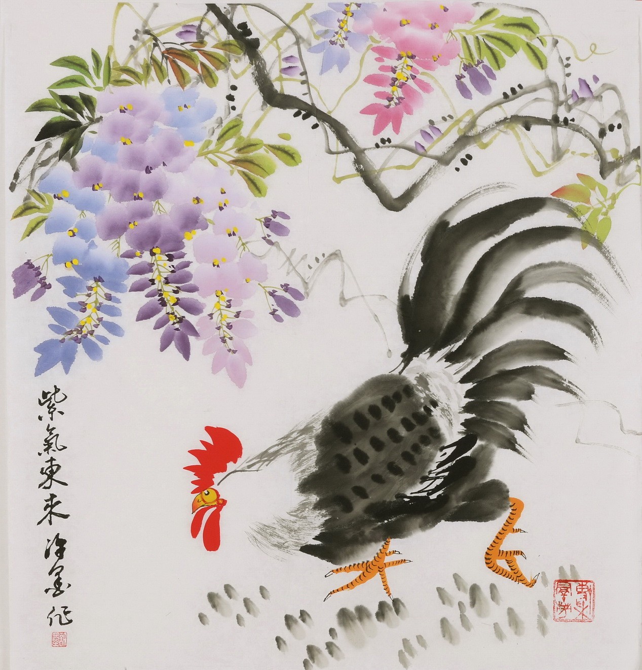 Chicken - CNAG006435