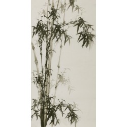Ink Bamboo - CNAG000644