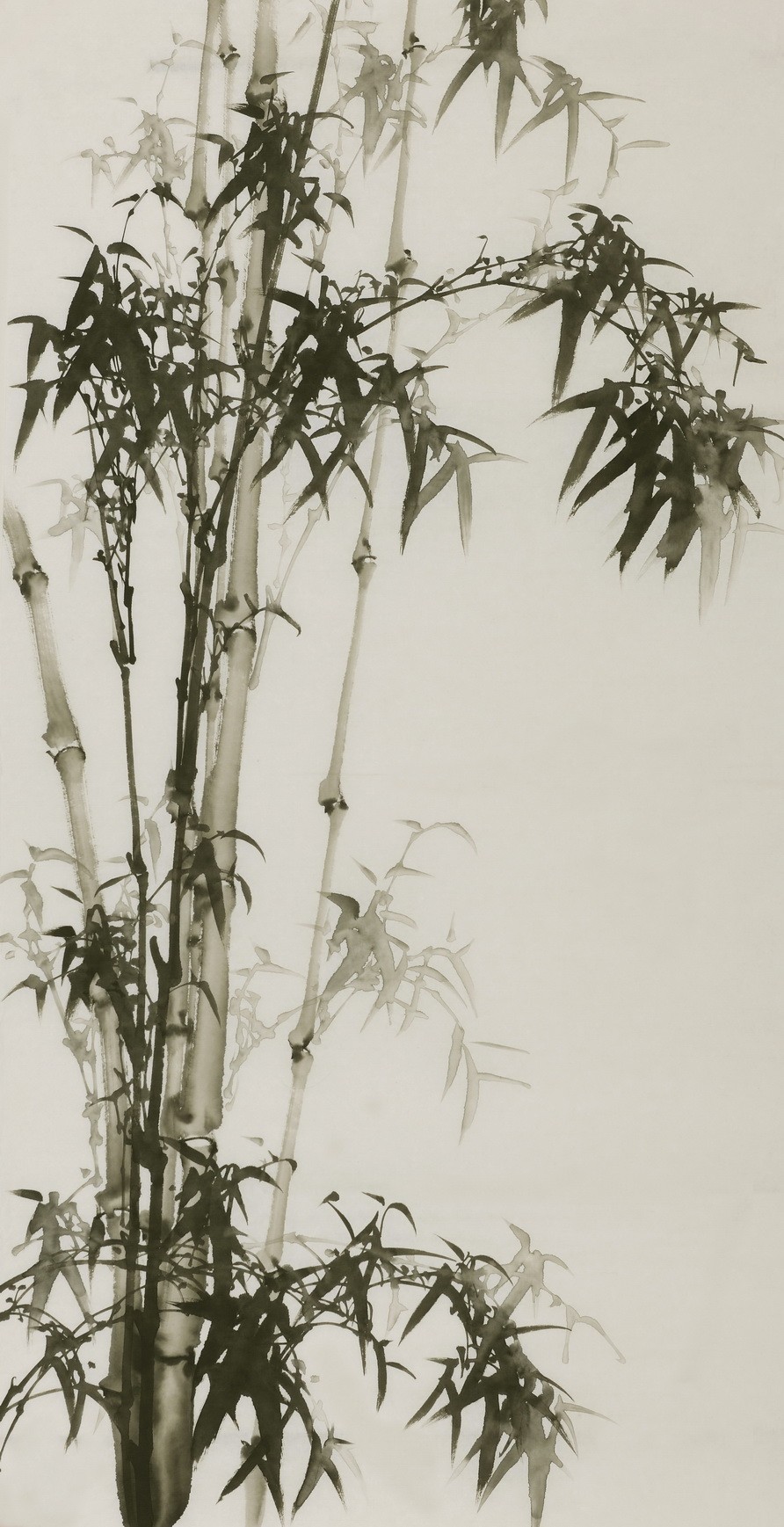 Ink Bamboo - CNAG000644