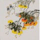 Persimmon - CNAG006436
