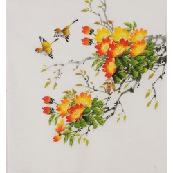Other Birds - CNAG006438