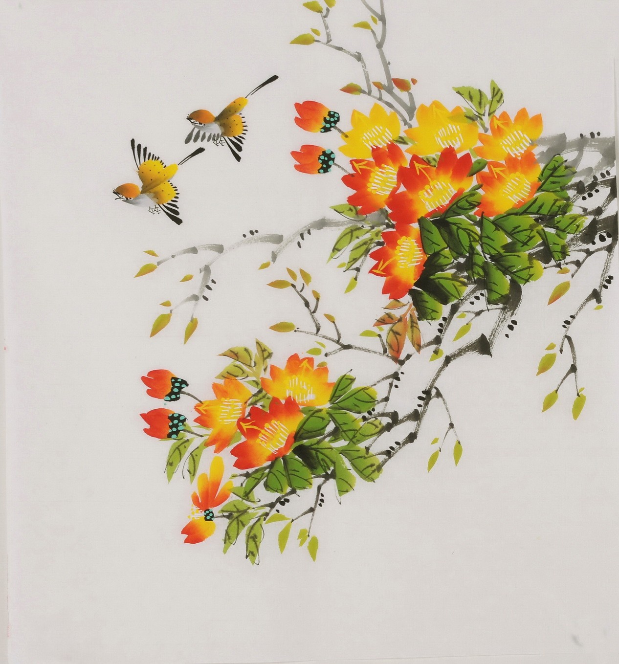 Other Birds - CNAG006438