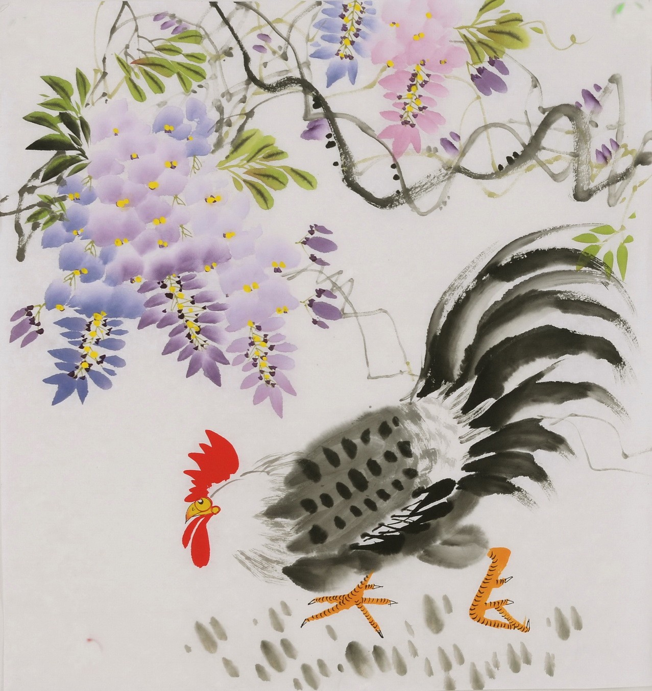 Chicken - CNAG006440