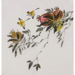 Other Birds - CNAG006442