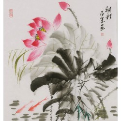 Fish - CNAG006444