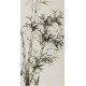 Ink Bamboo - CNAG000645