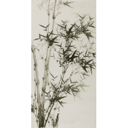 Ink Bamboo - CNAG000645