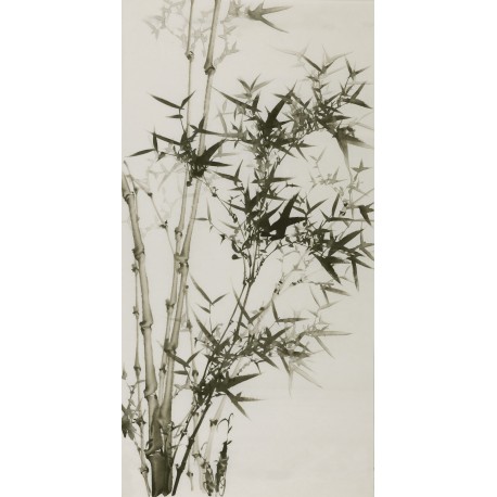 Ink Bamboo - CNAG000645