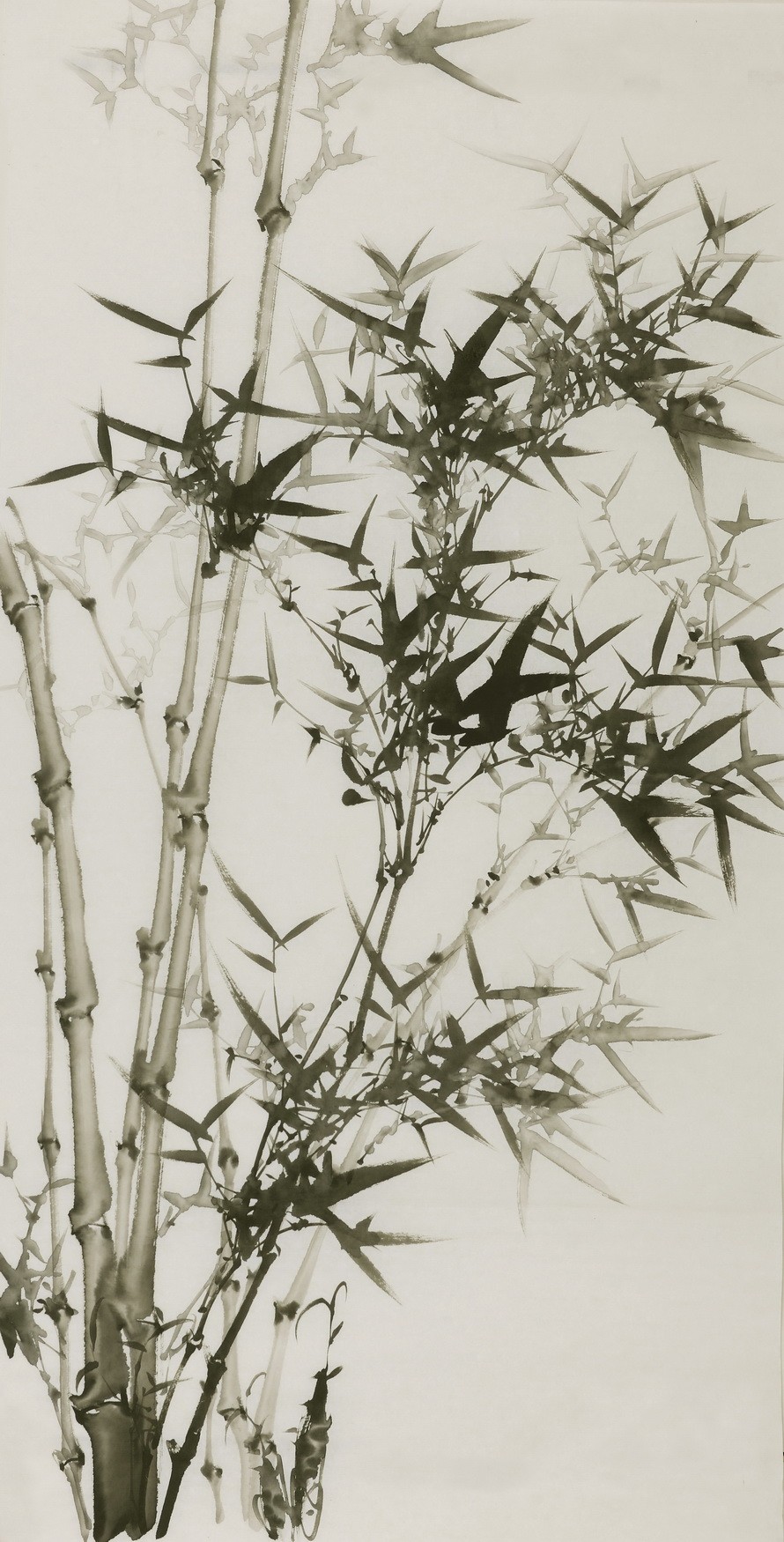 Ink Bamboo - CNAG000645