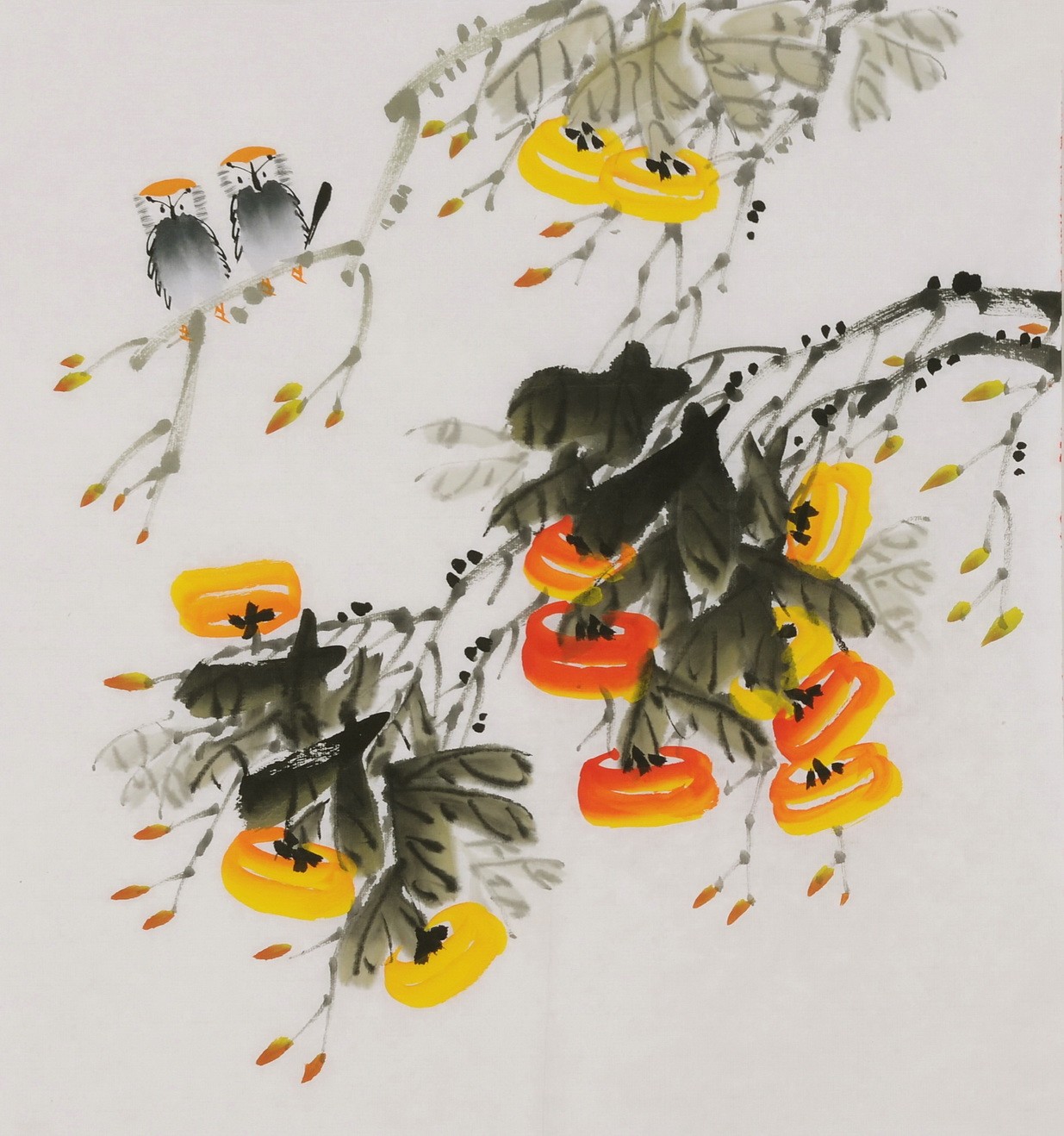 Persimmon - CNAG006446