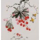 Other Birds - CNAG006447