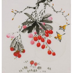 Other Birds - CNAG006447