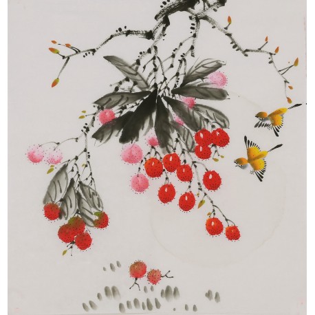 Other Birds - CNAG006447
