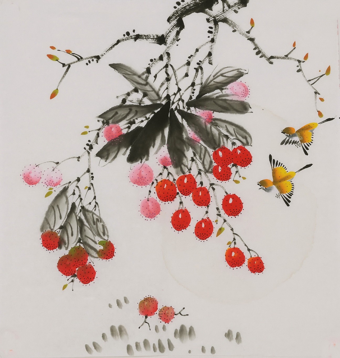 Other Birds - CNAG006447