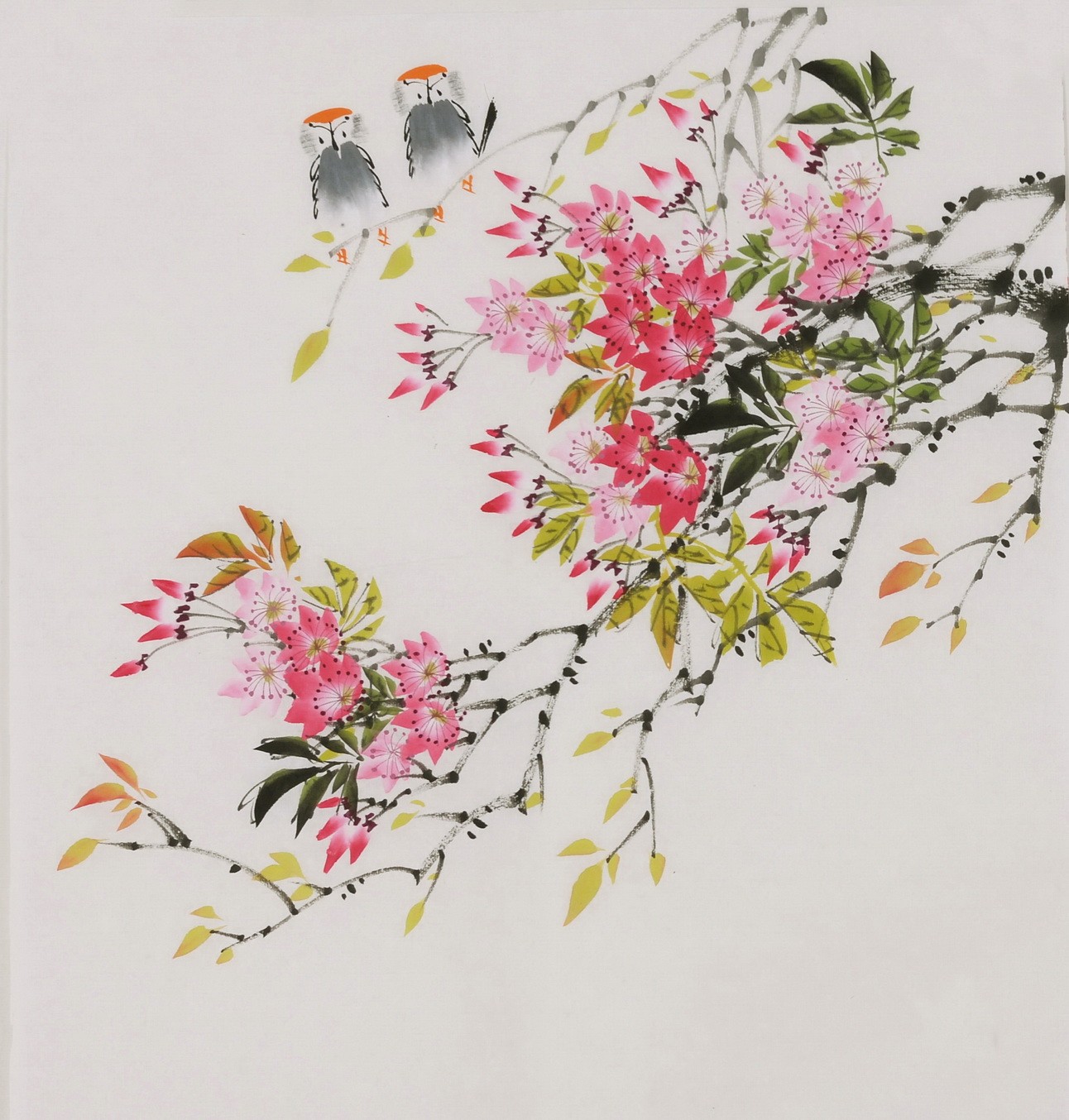 Peach Blossom - CNAG006452