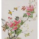 Peach Blossom - CNAG006453
