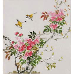 Peach Blossom - CNAG006453