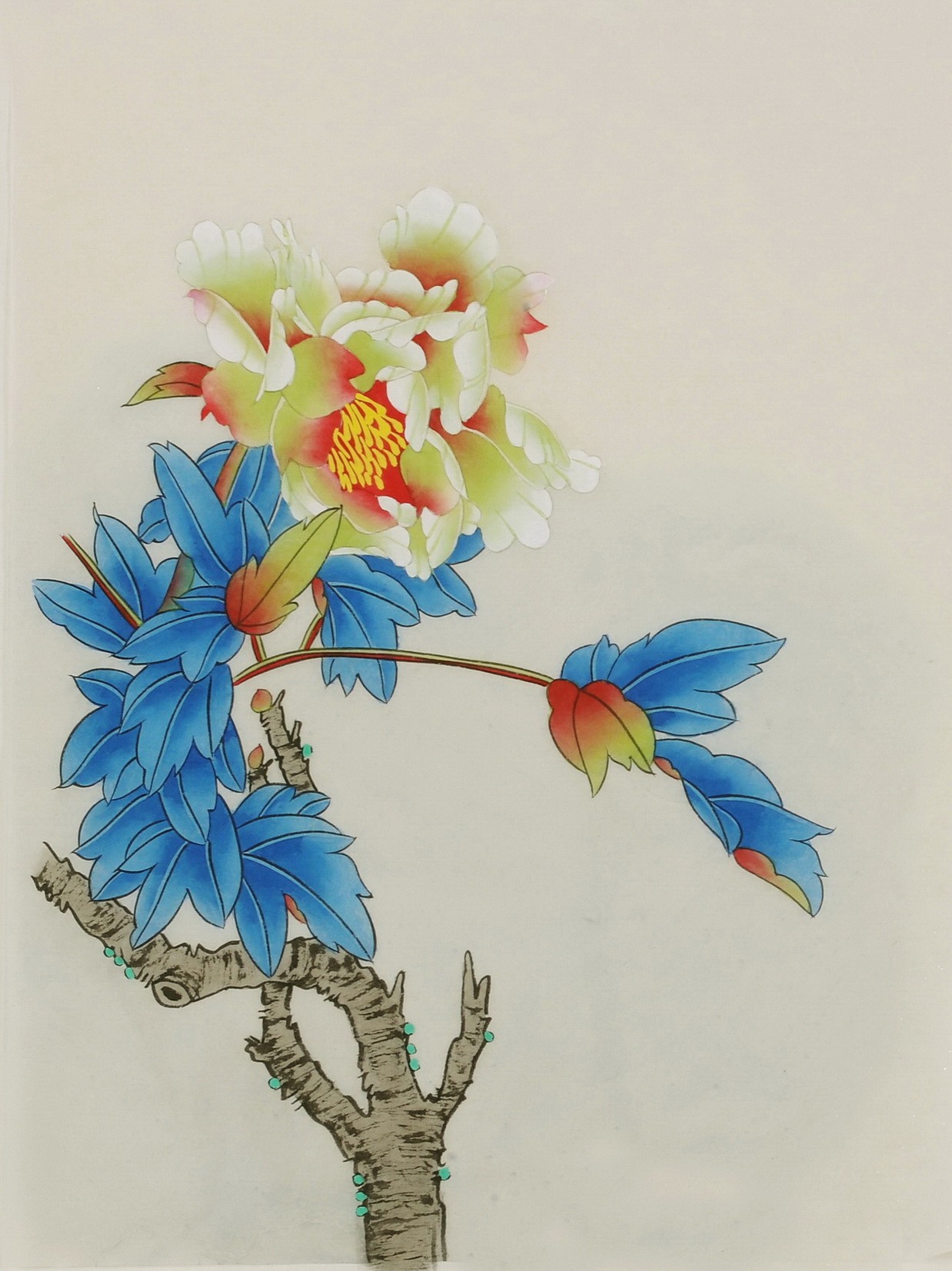 Peony - CNAG006459