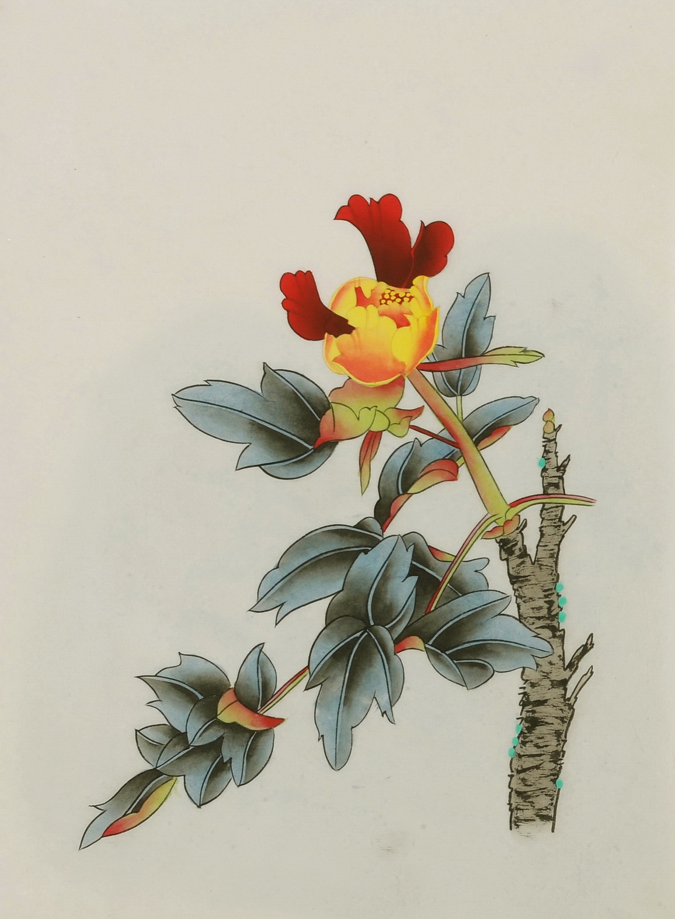 Peony - CNAG006462