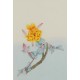Peony - CNAG006465