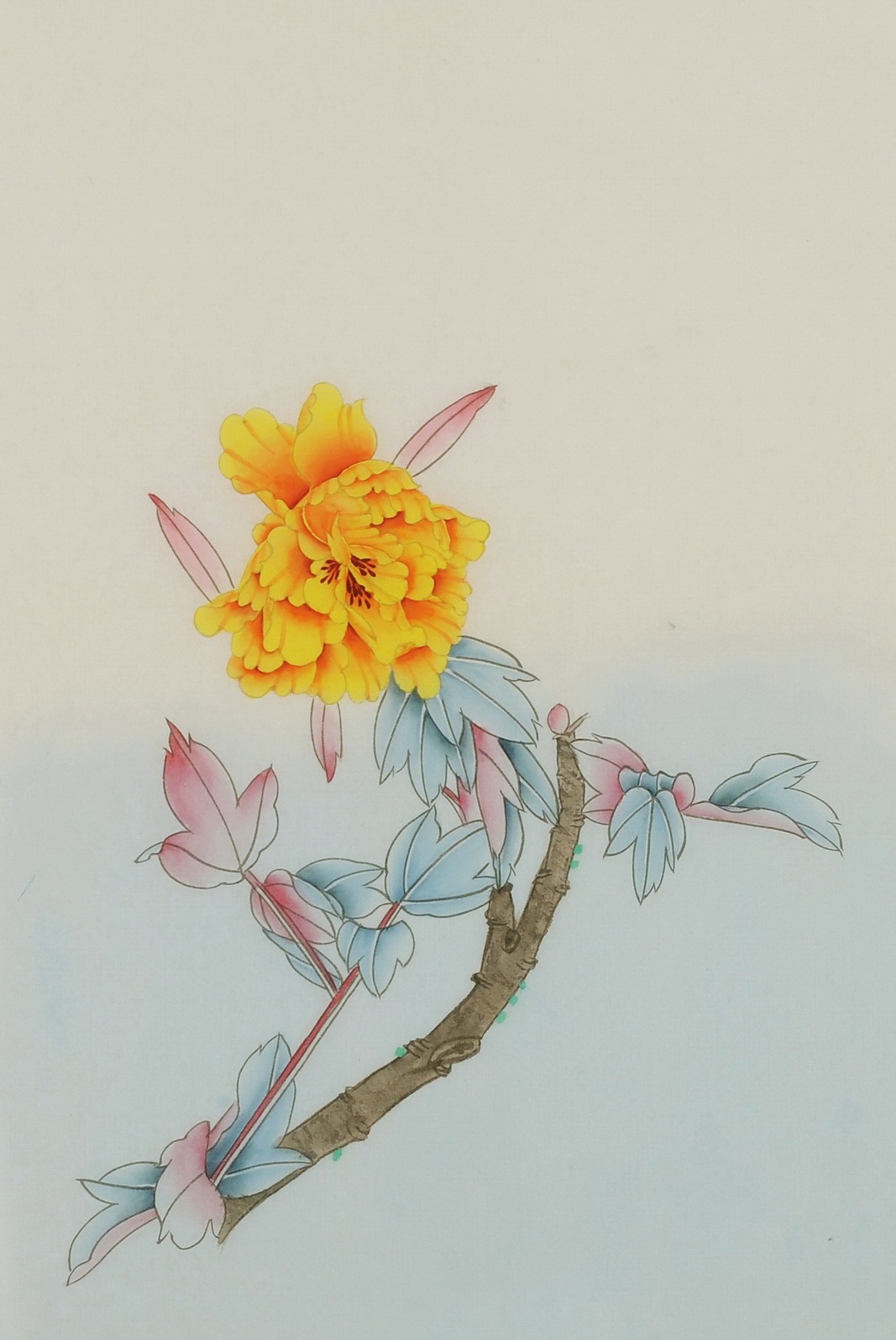 Peony - CNAG006465