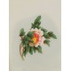 Peony - CNAG006469