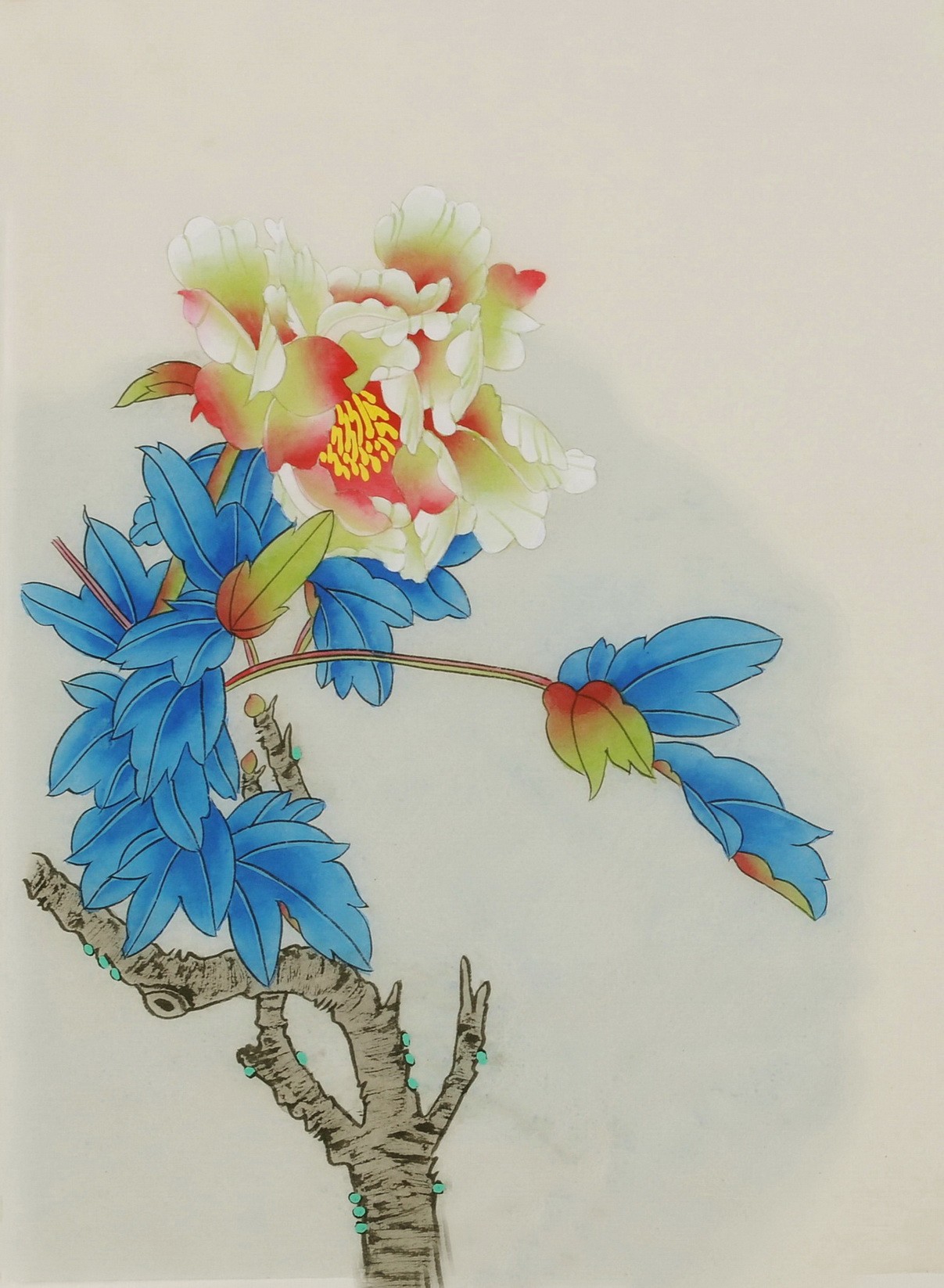 Peony - CNAG006470