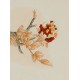 Peony - CNAG006474