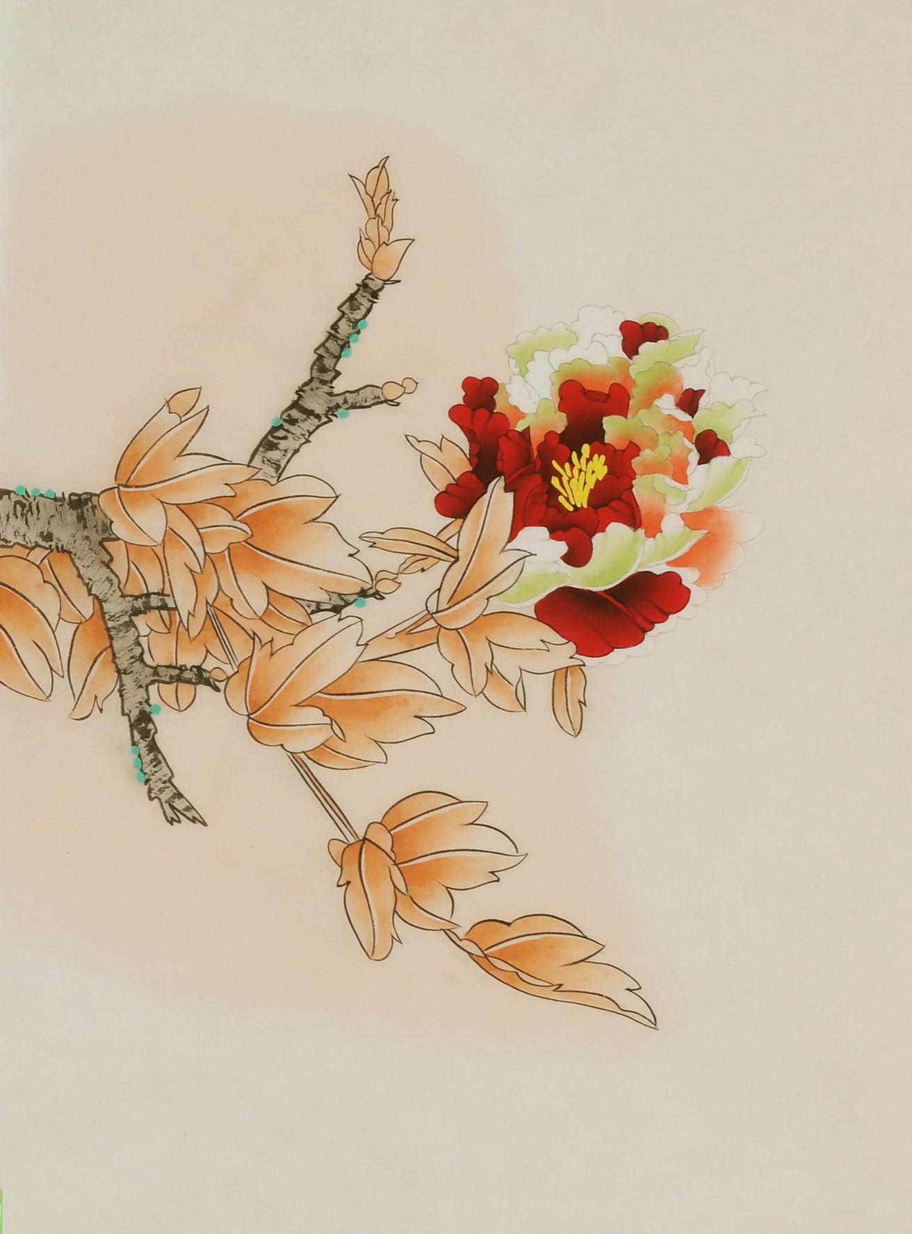 Peony - CNAG006474