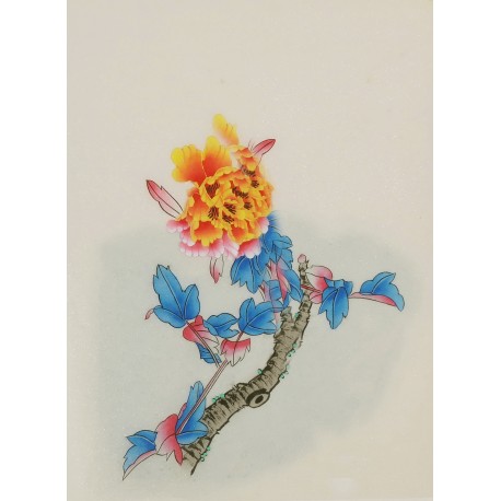 Peony - CNAG006479
