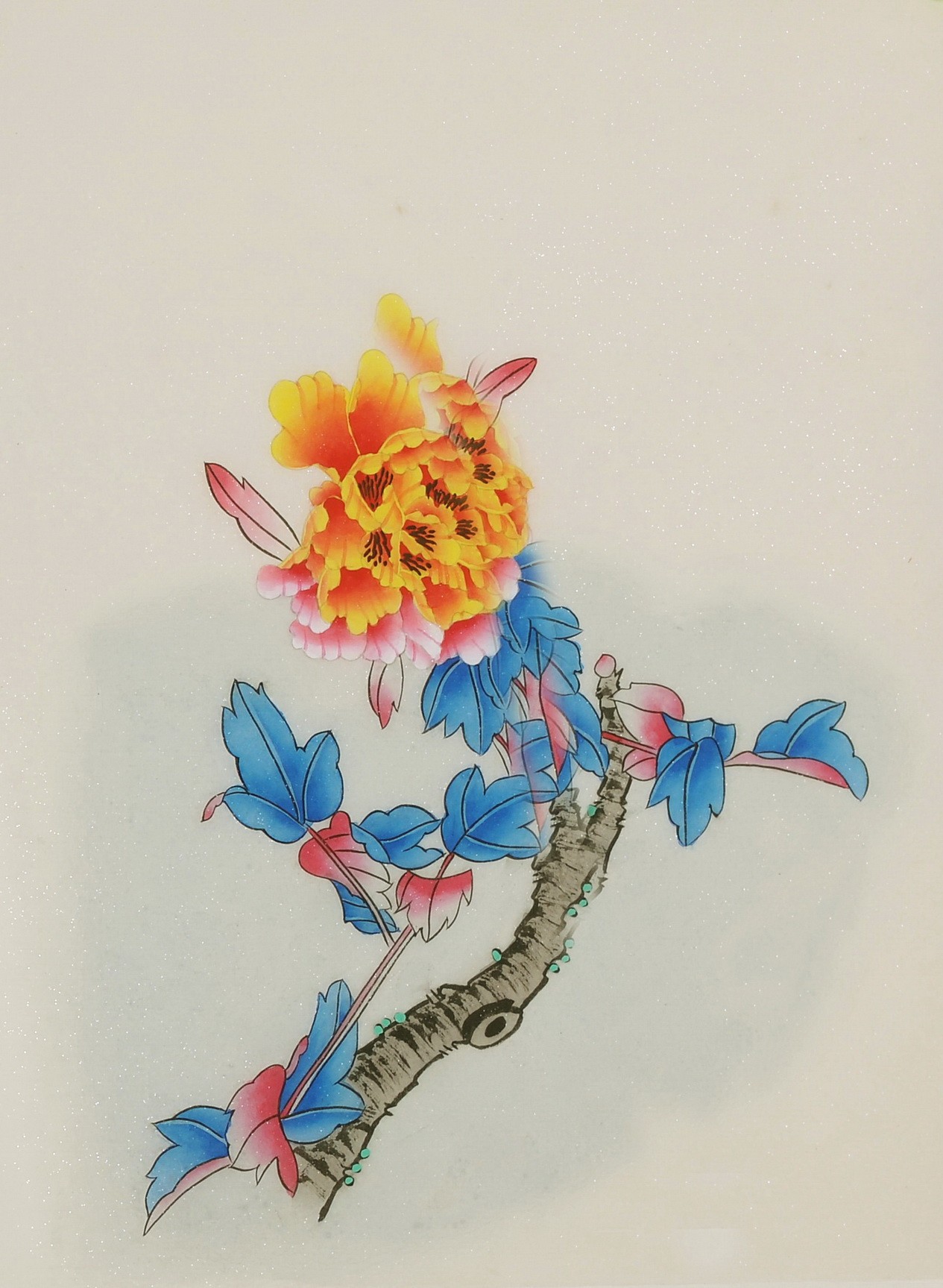 Peony - CNAG006479