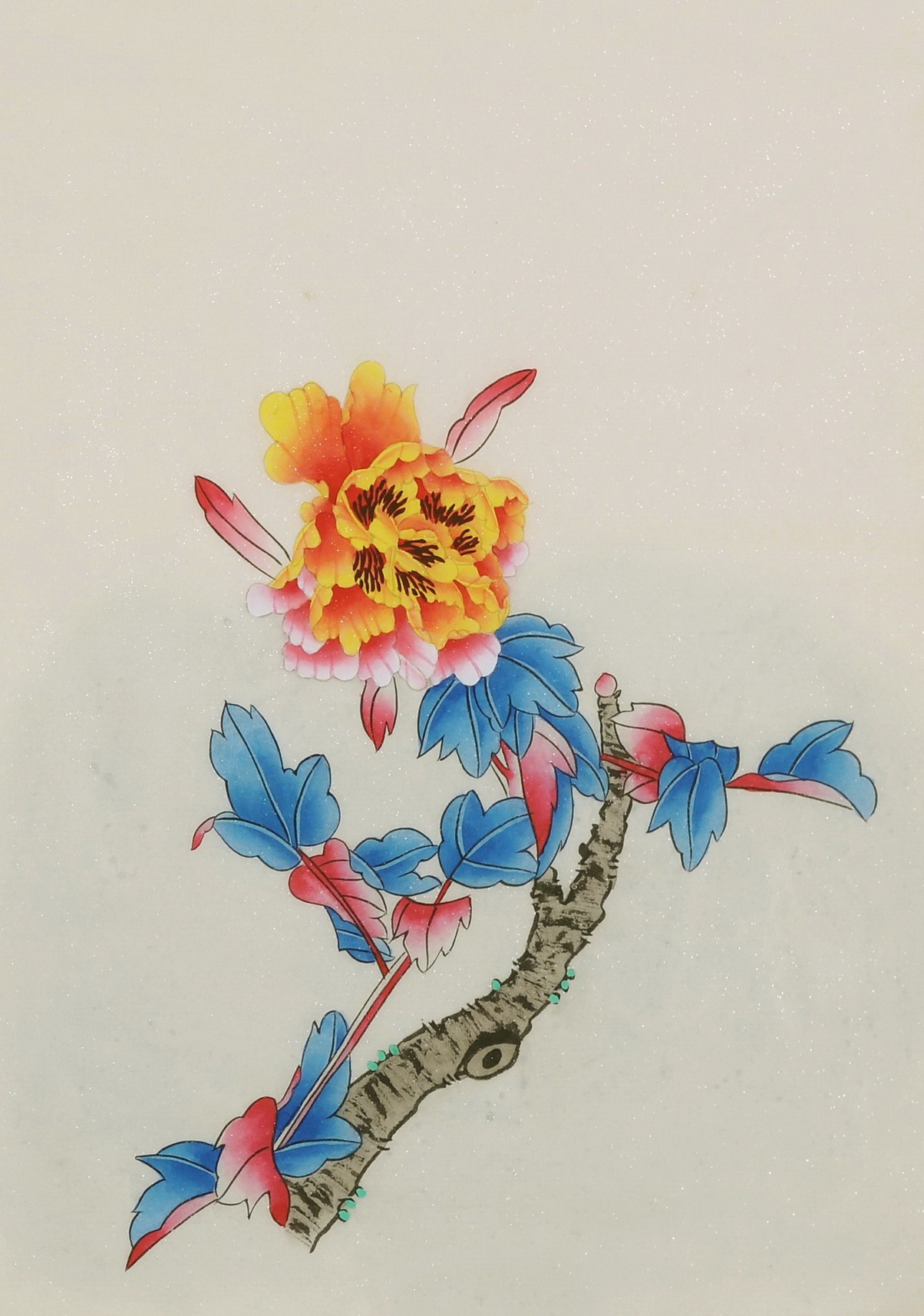 Peony - CNAG006481