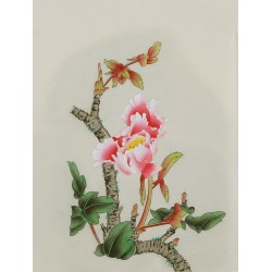 Peony - CNAG006482