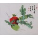 Other Birds - CNAG006485