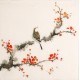Other Birds - CNAG006486