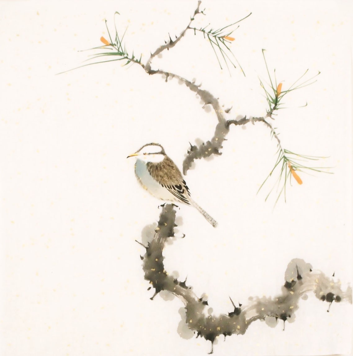 Other Birds - CNAG006487