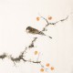 Other Birds - CNAG006488