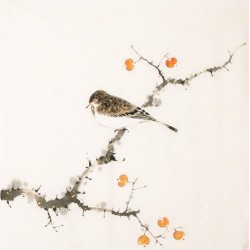 Other Birds - CNAG006488