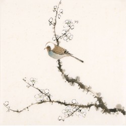 Other Birds - CNAG006489