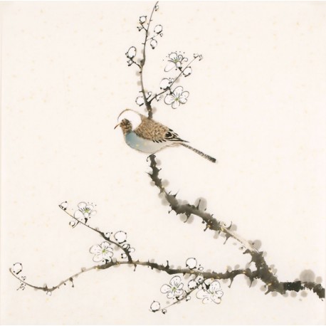 Other Birds - CNAG006489