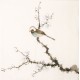 Other Birds - CNAG006490