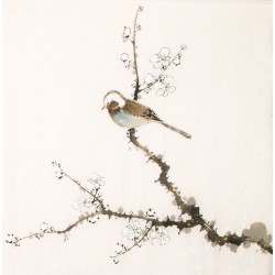 Other Birds - CNAG006490