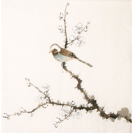 Other Birds - CNAG006490