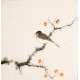 Other Birds - CNAG006491