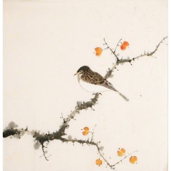 Other Birds - CNAG006491